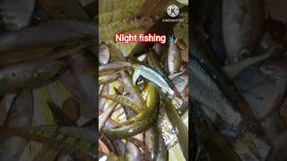 Machhali pakdne ka Jaal 🤯#village#fishing#shorts#minivlog#viral#river#waterfall#tranding#desi