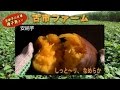 種子島産サツマイモ！甘～い「安納芋」と「紅はるか」