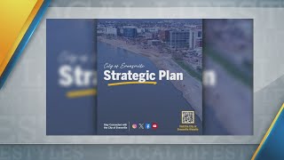 Mayor Stephanie Terry strategic plan (1/28/2025)