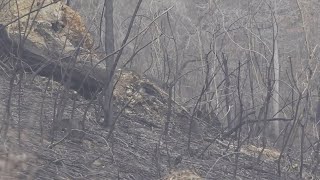 Monroe County fire crews continue to work in containing wildfires