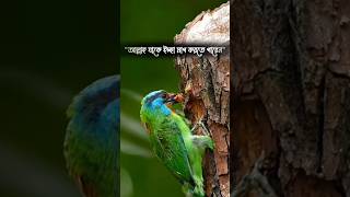 আল্লাহ আমাদেরকে সেরেক মুক্ত জীবন যাপন করার তৌফিক দান করুক আমিন