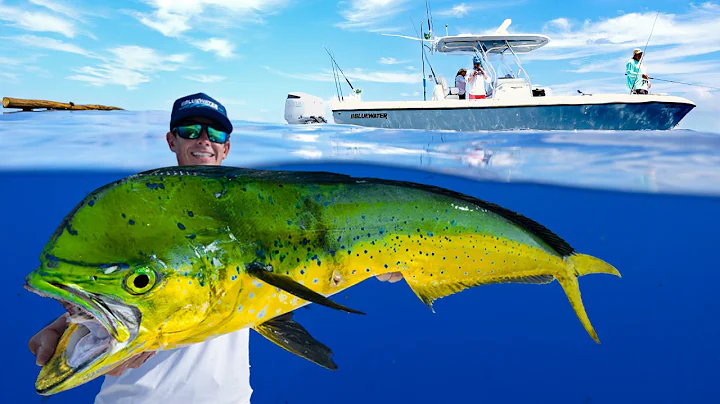 FILLED Dream Boat with PRIZED Deep Sea Fish! Catch Clean Cook (Mahi Mahi)
