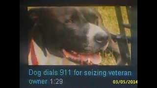 Download Lagu Earthy Crust / Jingle Punks MP3