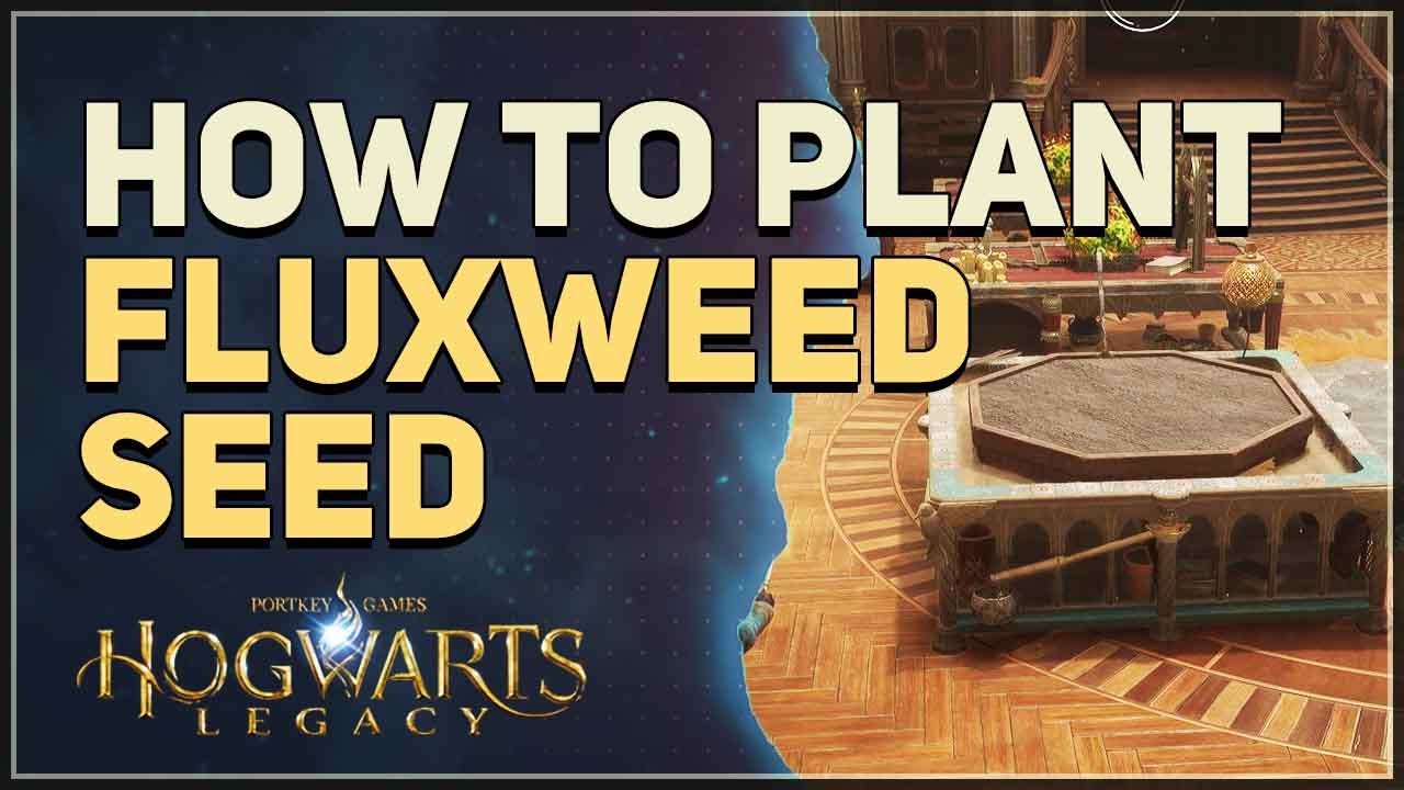 How to obtain Fluxweed seeds in Hogwarts Legacy
