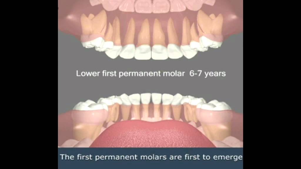 agenesia dental milano de agenesia dental milano de