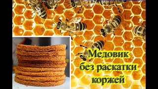 Медовик без раскатки коржей / Самый вкусный медовик / The best honey cake