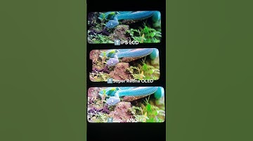 IPS LCD vs Super Retina OLED vs Super AMOLED #display #superamoled #lcd