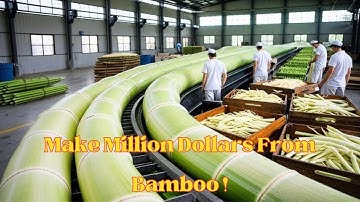 How China Turns Bamboo Into Millions! I China’s Secret @MrBeast 