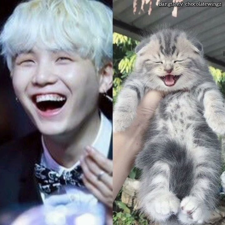 min suga as lil meow meow ( cute comparison )