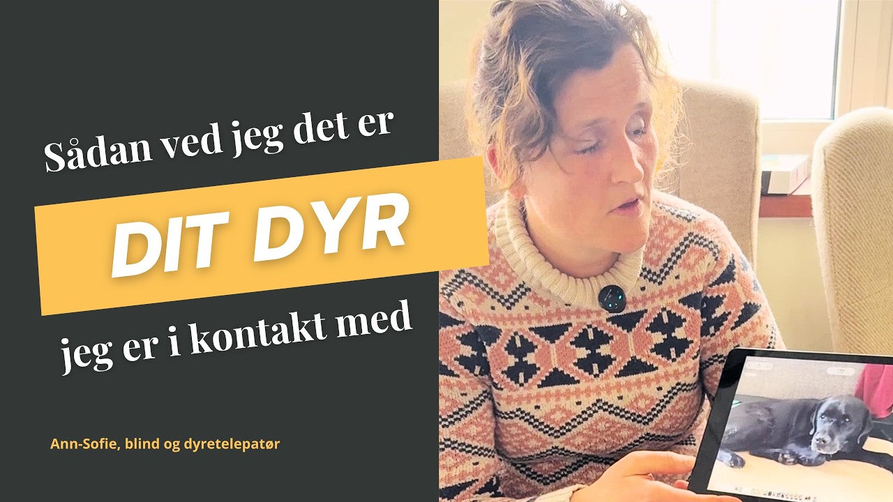 Thumbnail for video: Sådan ved jeg, at det er dit dyr, jeg taler med