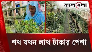 দুই জোড়া ক্যাকটাসেই রাখির ৫০ লাখের বাজিমাত | Nilphamari Plantology | Cactus | Kalbela News