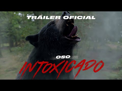 Oso Intoxicado – Tráiler Oficial