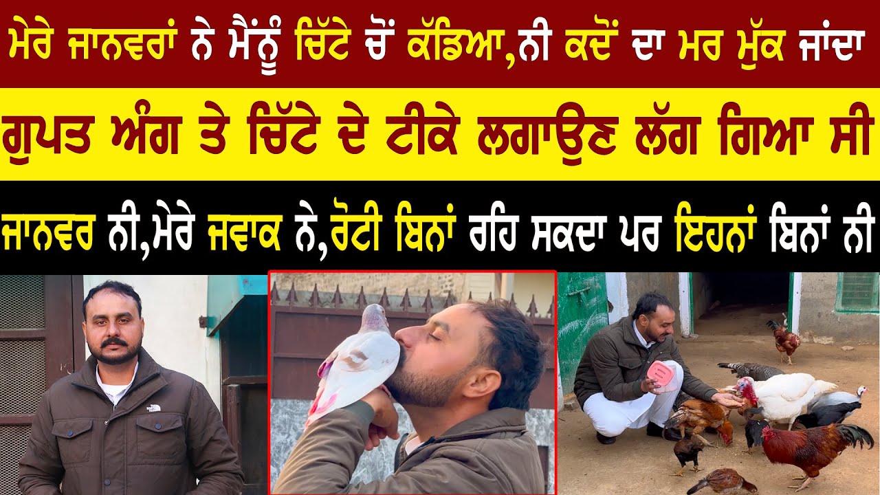 ⁣ਮੇਰੇ ਜਾਨਵਰਾਂ ਨੇ ਮੈਂਨੂੰ ਚਿੱਟੇ ਚੋਂ ਕੱਡਿਆ Inderpreet singh Life Story @adeebtvchannel
