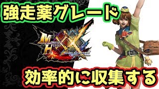 【MHXX実況】龍歴院ポイントと強走薬グレードを集める【モンハンダブルクロス】
