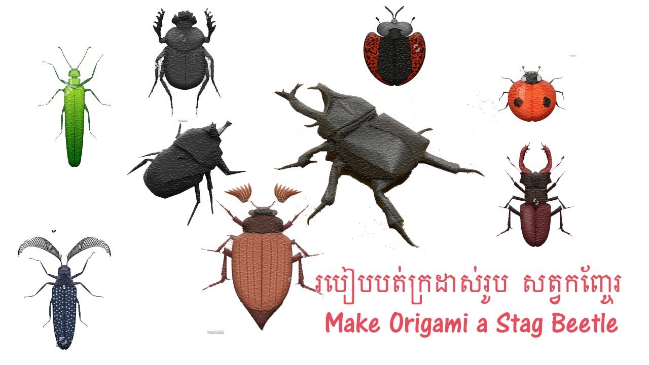 How to make origami a stag Beetle. | របៀបបត់ក្រដាសរូបសត្វកញ្ចែរ. - YouTube