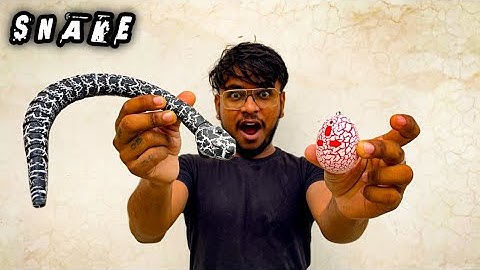 REMOTE CONTROLLED SNAKE 🐍 Unboxing  📦