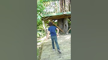 🌲 My Epic Treehouse & Zip Line Ride!