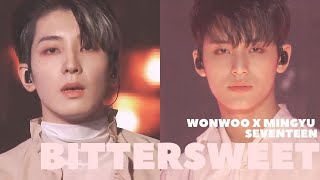 Bittersweet - WONWOO X MINGYU SVT (feat. LeeHi) [Power of Love Concert 211114] HD Live Performance