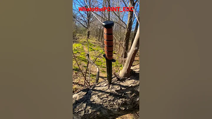 Ka-Bar U.S.M.C!!! Lets test the edge!!! 🔥🇺🇸🔪👍#neverquitquitting #youtubeshorts #asmr #shorts