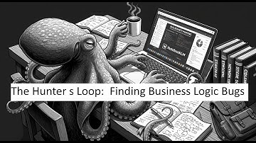 The Hunter s Loop:  Finding Business Logic Bugs