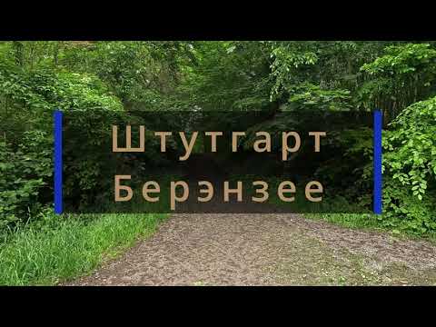 Видео: Берэнзее Штутгарт, прогулка по лесу к озеру.