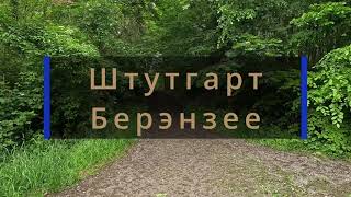 Берэнзее Штутгарт, прогулка по лесу к озеру.