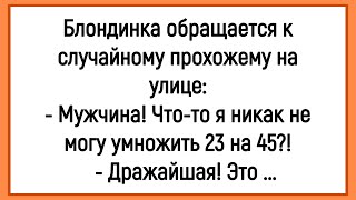 видео: 💎Как Блондинка Не Могла Числа Умножить! Сборник Смешных Анекдотов! Юмор! Позитив! картинка: 💎Как Блондинка Не Могла Числа Умножить! Сборник Смешных Анекдотов! Юмор! Позитив!
