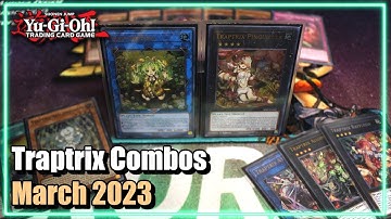 Yu-Gi-Oh! Traptrix Combos You NEED to Know Post Structure Deck: Beware of Traptrix! | March 2023