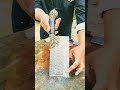 The World Finest Cleaver Knife In Action!#worldknives#finestcleaver#action#handmade#tranding#shorts