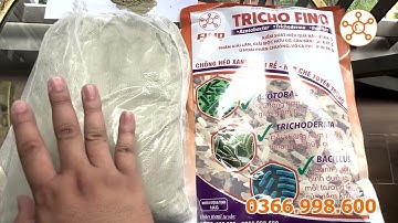 Dùng Trichoderma đúng cách | TRICHO FINO | Gồm 3 chủng vi sinh mạnh, đúng chất lượng #Tricô thật