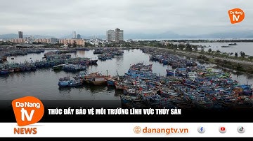 THÚC ĐẨY BẢO VỆ MÔI TRƯỜNG LĨNH VỰC THỦY SẢN