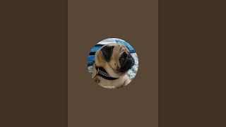 BB CHANNEL is live!