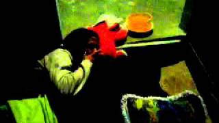 O Com Ninfetas No Quintal Da Casa Vazou Na Net