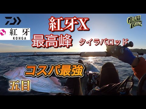 紅牙Xで五目爆釣！コスパ最強！最高峰タイラバロッドの実力がヤバい！