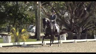 Dark Rousseau and Catherine Malone win Fourth Level Test 1 at 2026 WBTWF II!