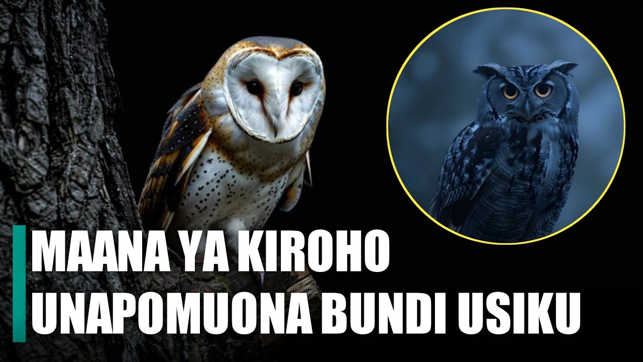 ISHARA ZA KIROHO UNAPOMUONA BUNDI KASIMAMA MBELE YAKO.