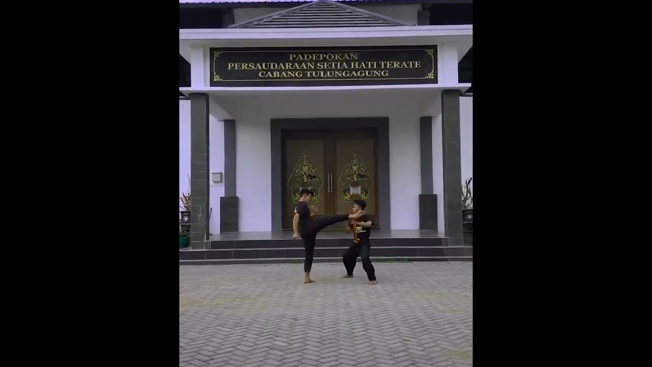 Story PSHT 56 || Solospel 