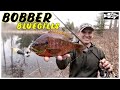 Bobber Fishing Spring Bluegill From the Bank