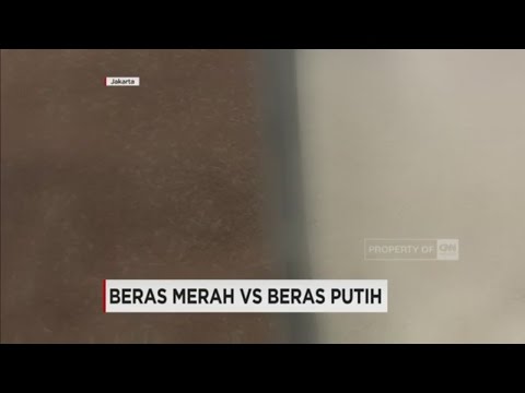 Beras Merah Vs Berah Putih, Mana Yang Lebih Sehat?