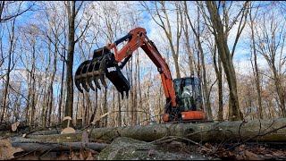 Clearing Land for a Meadow and Orchard in the Woods