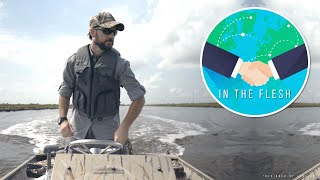 Making a Map of Louisiana's Wetlands