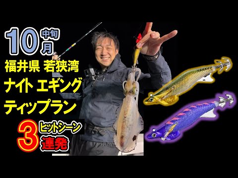 福井県若狭湾ナイトエギング、ティップラン釣行【アオリイカ】【ティップラン】