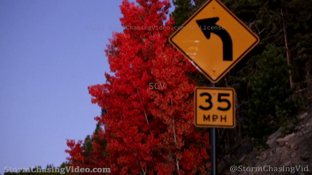 Starry Night Aspens Fall Colors Dark Sky Time-Lapse - 10/3/2021