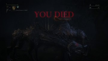 Breaks a Labyrinth Seal