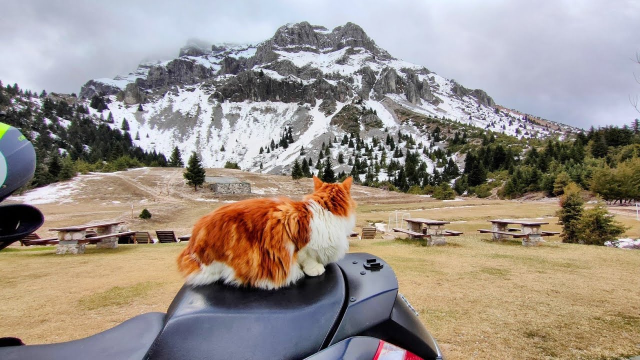 Ανεβαίνοντας στο Ορειβατικό Καταφύγιο  Πραμάντων με την καλύτερη παρέα τον 