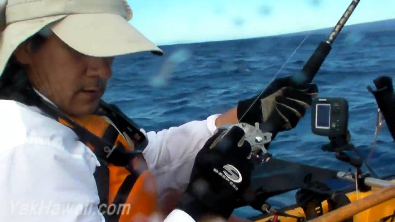 Kayak Fishing Hawaii. Ono Landed, Shark Eyes In YouTube