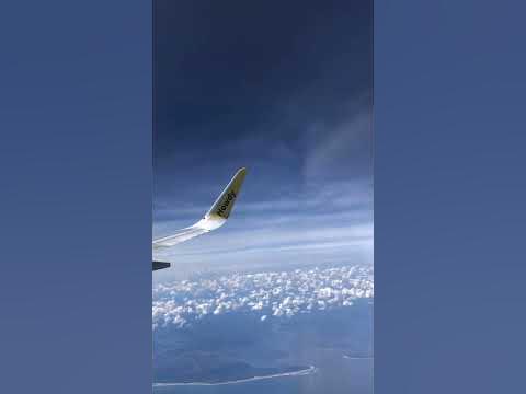 Raleigh To Orlando Florida