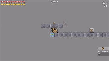 Teeworlds: How many positions are there in a 1x1 block? (look in the Description)