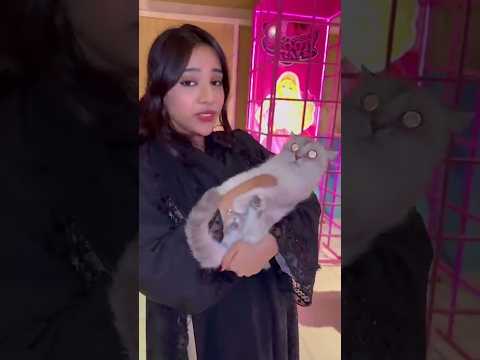 تابعونا نحبكم  شفا