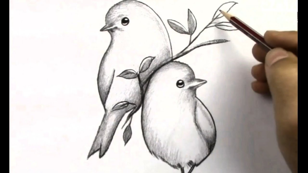 colour pencil sketches birds - Clip Art Library